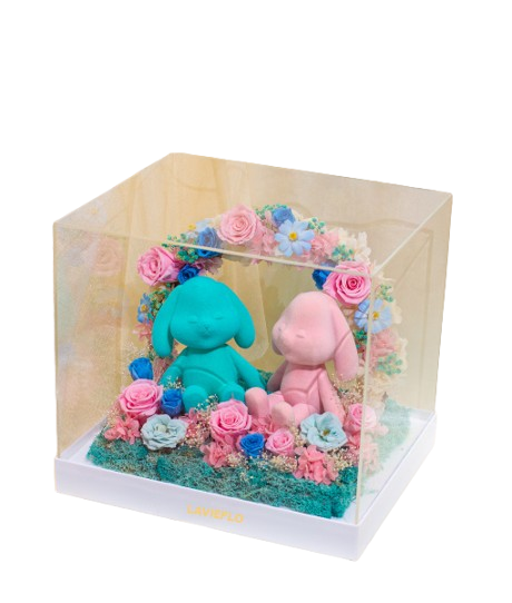 313-21284-removebg-preview